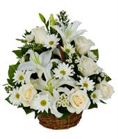 Beyaz çiçeklerden Sepet Aranjmanı - 600,00 TL